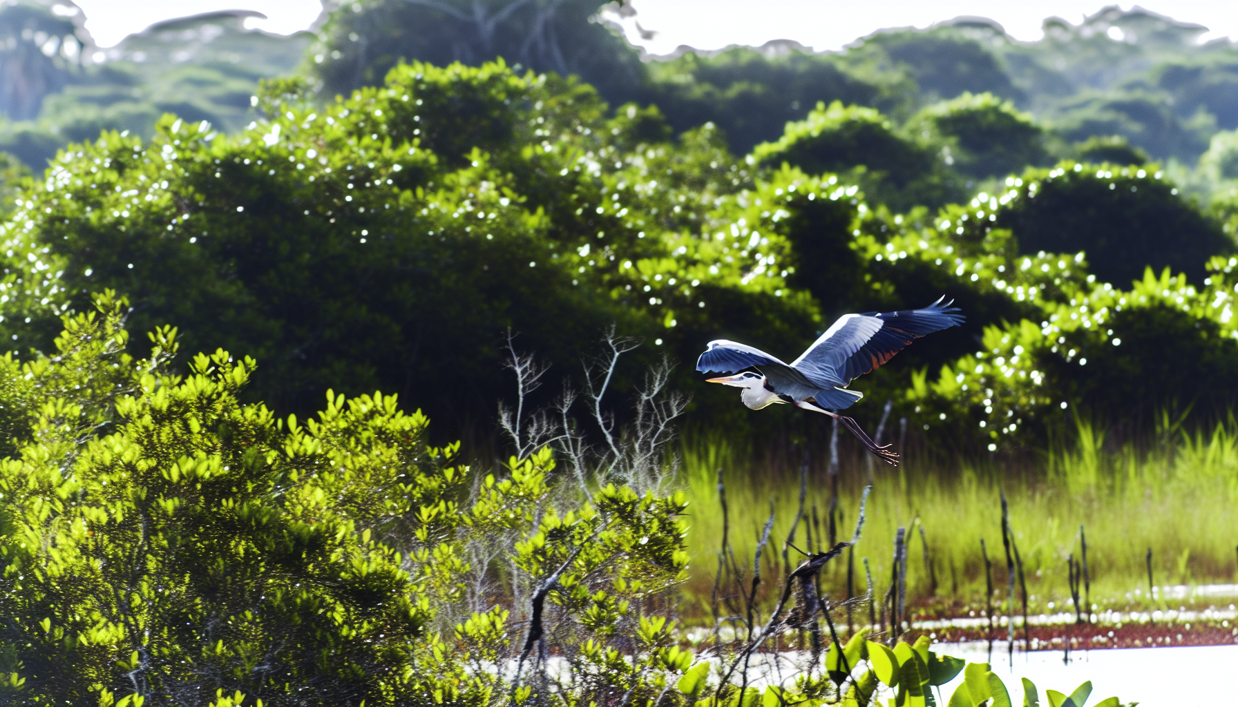 heron in natural habitat - AI generated illustration for article about BirdCast Migration Tools: How Radar Data Transforms Birding Strategy