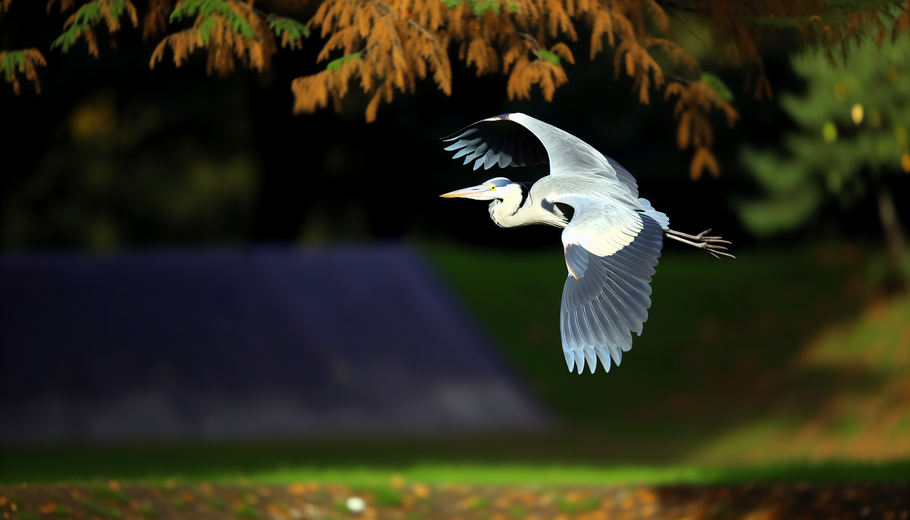 heron in natural habitat - AI generated illustration for article about Bird Identification Guide: Literary Birds in Your Backyard
