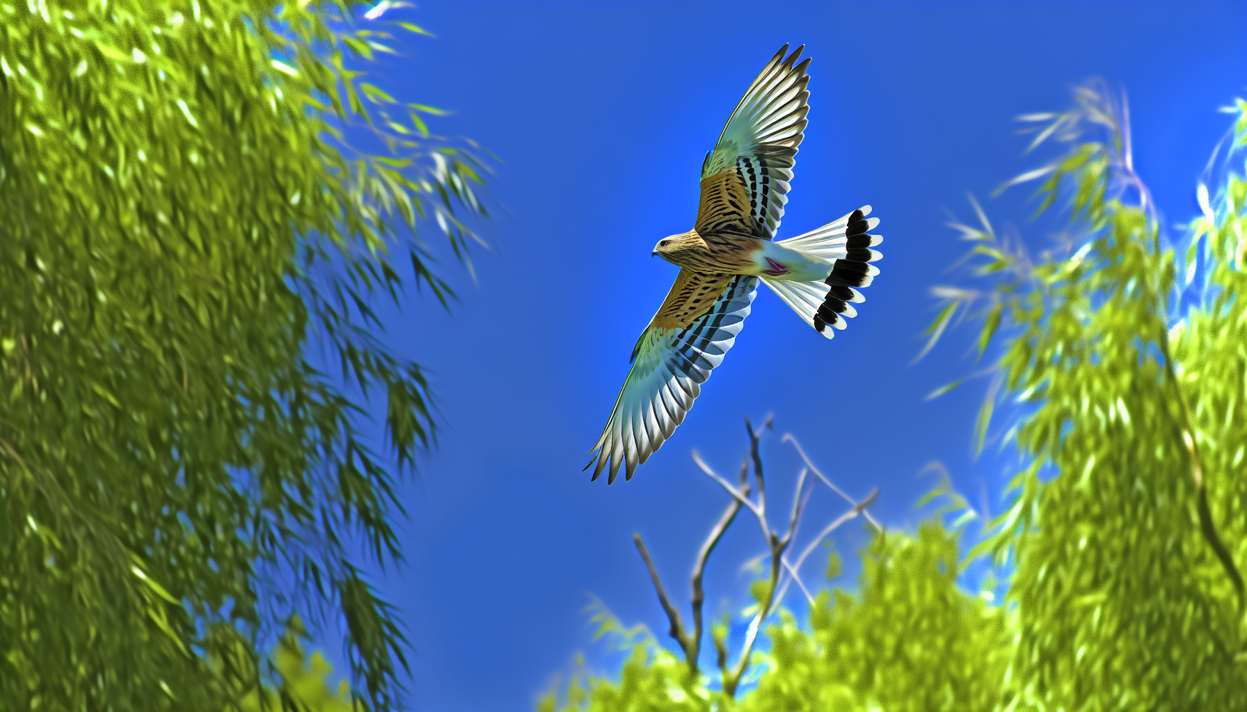 Bird in natural habitat - AI generated illustration for article about How Hummingbirds Really See Red Feeders: New Vision Research