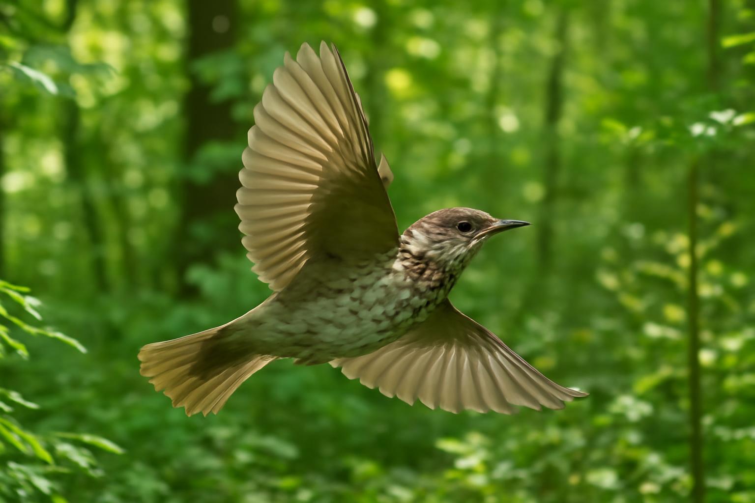 Bird in natural habitat - AI generated illustration for article about How Habitat Restoration Changes Bird Behavior: A Field Guide